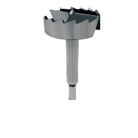 Forstner Bits