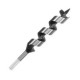 Auger Bits