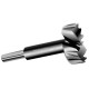 Forstner Bits