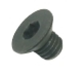 1933700 Torx Screw M5x6.3 Flat Head