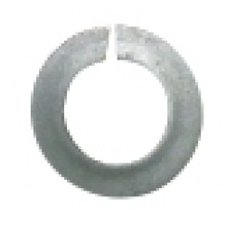 1950090 1/4" Spring Washer