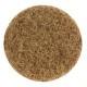 Original Non-Woven Roll-On Disc - 2" - Coarse Grit