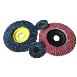 Flap Discs