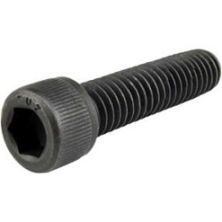 1930720 Allen Screw M6 x 12.5mm