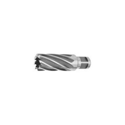 FC110 HSS Cutter 7/16 in. x 1 in. depth 3/4 shank (pin 63134998305)