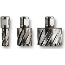 63134115002 Slugger Cutter , 29/64" Diameter x 2" Depth