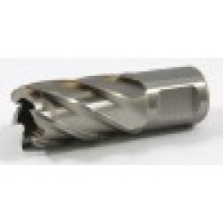 63134127001 Slugger Cutter 1/2" Diameter x 1" Depth Weldon Shank 3/4  S5000