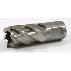 63134206001 Slugger Cutter 13/16" Diameter x 1" Depth Weldon Shank 3/4  S8125