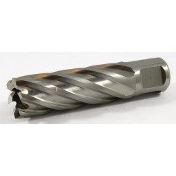63134206008 Slugger Cutter Cobalt 13/16" Diameter x 2" Depth SL812C