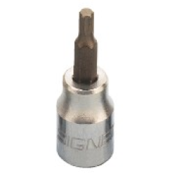 3/8" Drive T30 Torx Bit Socket