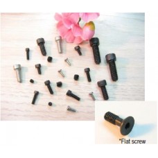 Cap Screw 3x6mm Clearance Section