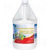 Glass & Multi-Surface Cleaners 4L Cleaning Products